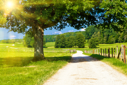 Sommertag in der Natur