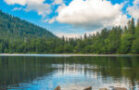 Schluchsee, Schwarzwald